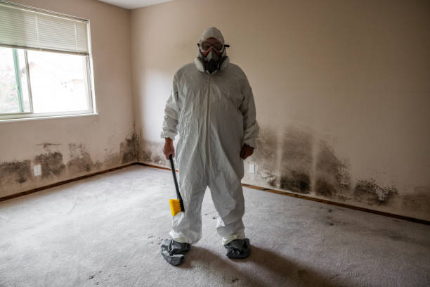 Best Bathroom Mold Remediation in Smithers, WV